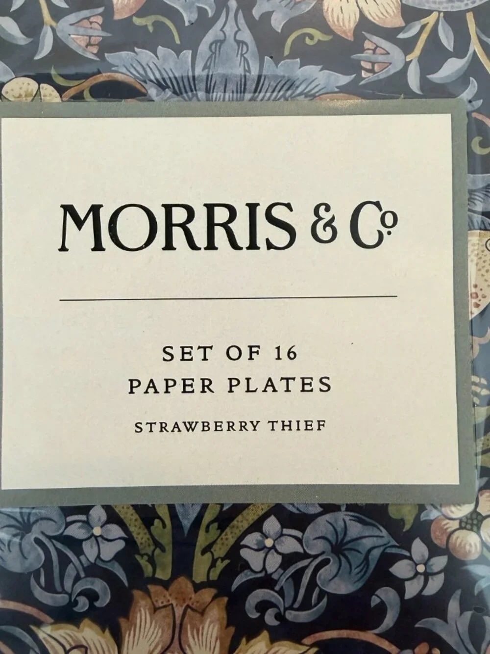 William Morris & Co Strawberry Thief Paper Plates 16 Count 10